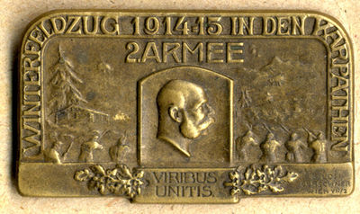 Vojaški znak - Zimski vojni pohod v Karpatih 1914-15. Viribus Unitis (Winterfeldzug 1914-15 in den Karpathen. Viribus Unitis)