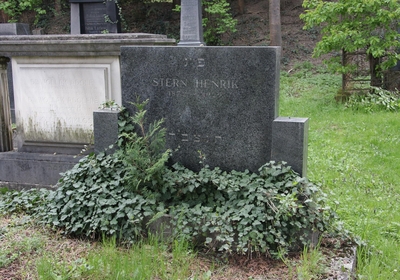 Stern Henrik
<br />1872-1929