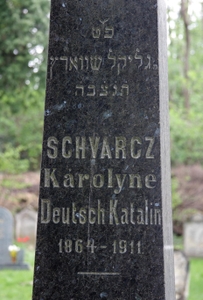 Schwarz Károlyné
<br />Deutsch Katalin
<br />1864-1911