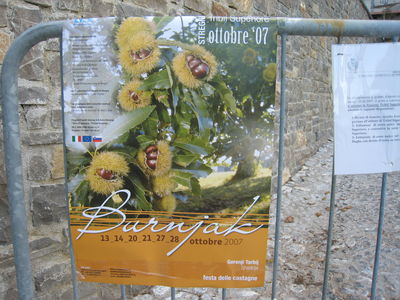 dvojezični plakat s programom, "burnjak", praznik kostanja 2007, festa delle castagne (D1616)