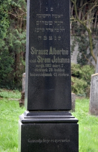 Strausz Alberné
<br />szül. Strem Johanna
<br />megh. 1913 márc. 7.
<br />életének 70 - boldog házasságanak 43. eveben.
<br />
<br />Gyászolja férje és gyermekei.