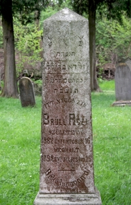 Itt nyugszik
<br />Brüll Róza
<br />született 1882 évi oktober 16.
<br />meghalt 1892 évi julius hó 19.
<br />
<br />Béke hamvaira!