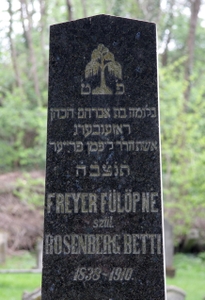 Freyer Fülöpné
<br />szül. Rosenberg Betti
<br />1838-1910