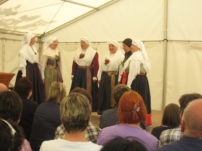 Pevke Folklorne skupine Kraški šopek iz Sežane (D2524)