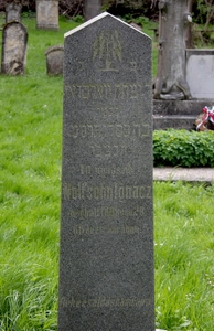 Itt nyugszik
<br />Wolfsohn Ignácz
<br />meghalt 1888 nov. 28.
<br />69 éves korában
<br />
<br />Béke és áldás hamvaira!