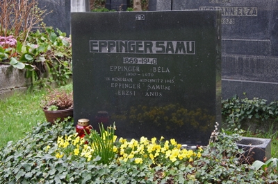 Eppinger Samu
<br />1869-1940
<br />
<br />Eppinger Béla
<br />1900-1979
<br />In memoriam Auschwitz 1945
<br />Eppinger Samu-né
<br />Erzsi Anus