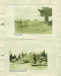 169 - Počitek pri Malga Campo (Trident)
170 - Opustošeni gozdovi na tirolskem bojišču