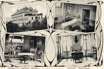 V okviru ljubljanskih bolnišnic je deloval sanatorij Leonišče (1893), eden najmodernejših zdravstvenih zavodov tistega časa v Ljubljani.