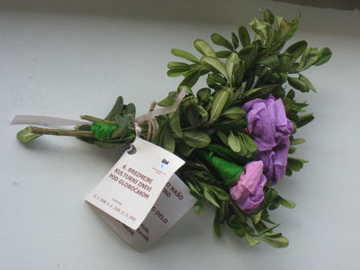 Šopek iz suhih rož in pušpana, ročno delo domačink (D2411)